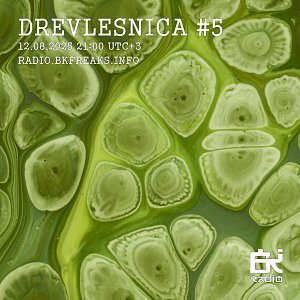 Drevlesnica