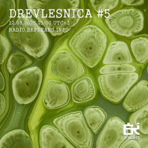 Drevlesnica