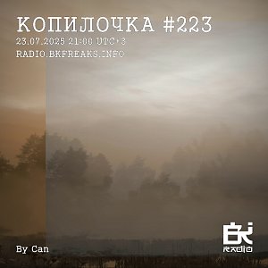 Копилочка