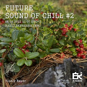 Future Sound of Chill