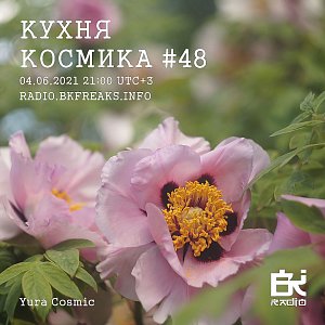 Кухня Космика