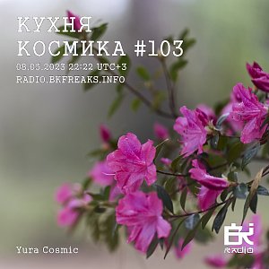 Кухня Космика