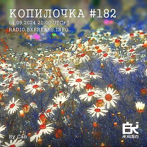 Копилочка