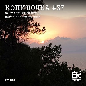 Копилочка