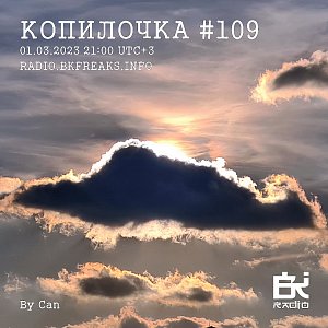 Копилочка