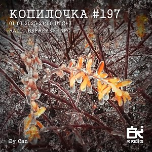 Копилочка