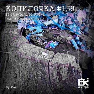 Копилочка