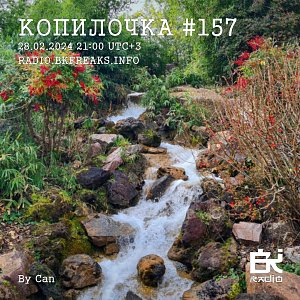 Копилочка