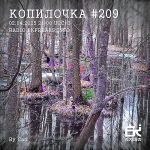 Копилочка