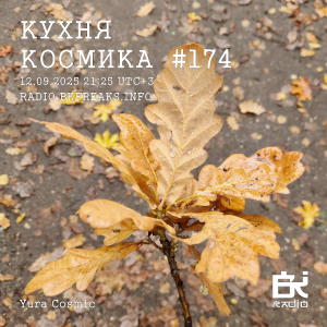 Кухня Космика 