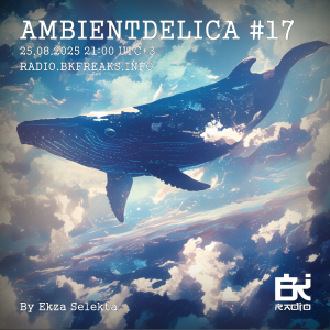 Ambientdelica