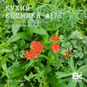 Кухня Космика 