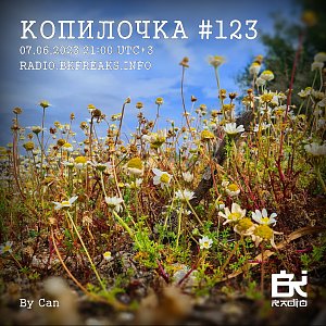 Копилочка