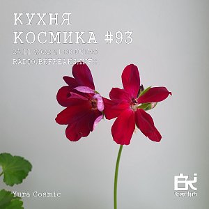 Кухня Космика