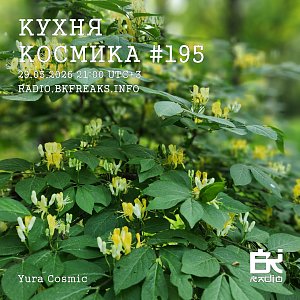 Кухня Космика