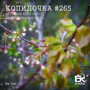 Копилочка