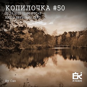 Копилочка
