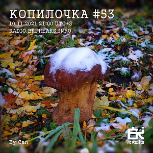 Копилочка