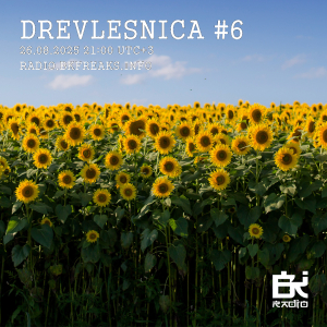 Drevlesnica