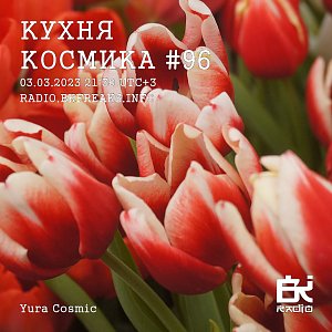 Кухня Космика