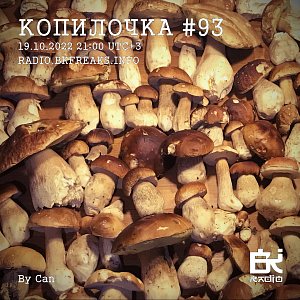 Копилочка