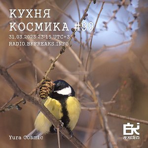 Кухня Космика