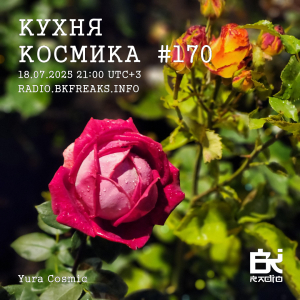 Кухня Космика 