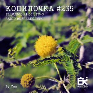 Копилочка