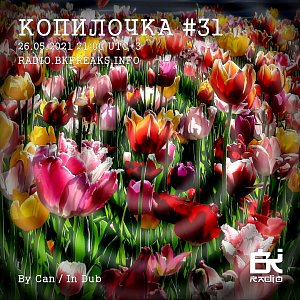 Копилочка