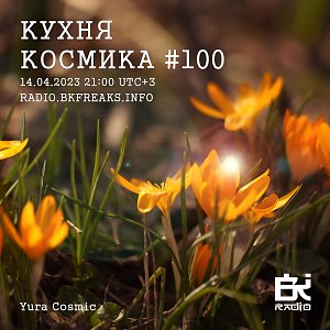 Кухня Космика