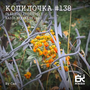 Копилочка
