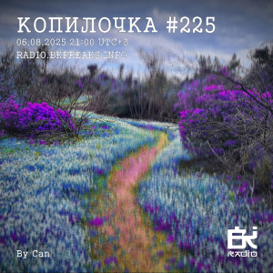 Копилочка