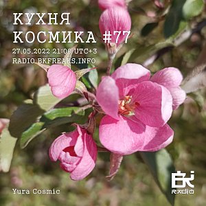 Кухня Космика