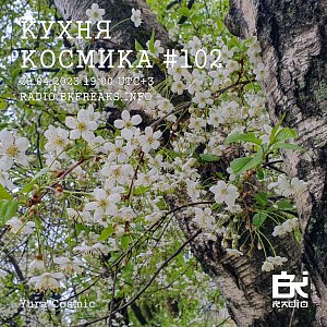 Кухня Космика