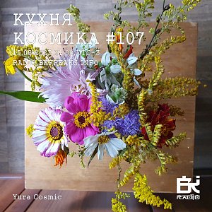 Кухня Космика