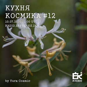 Кухня Космика