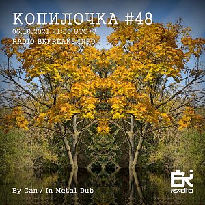 Копилочка