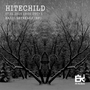 Hitechild