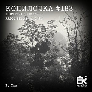 Копилочка