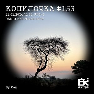 Копилочка