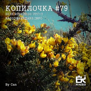 Копилочка