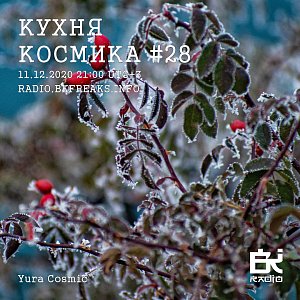 Кухня Космика