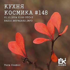 Кухня Космика