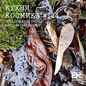 Кухня Космика