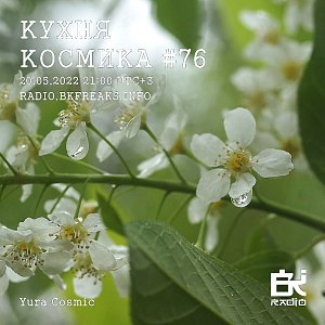 Кухня Космика