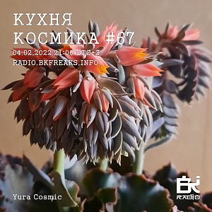 Кухня Космика