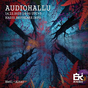 AudioHallu