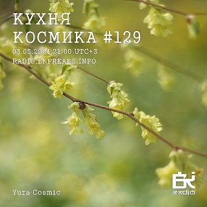 Кухня Космика