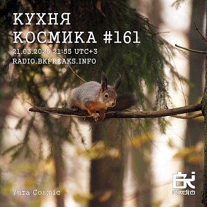 Кухня Космика
