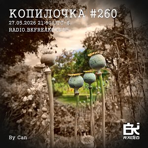 Копилочка